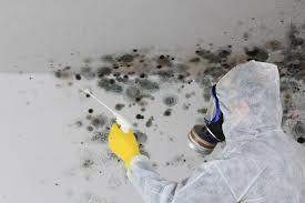 Forensic Mold Investigation in Kings Mills, OH